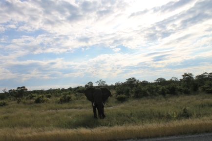 Nomad Tour to Vic Falls (382)